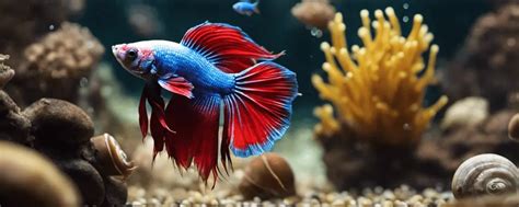 betta fish tank mates|49 Best Betta Fish Tank Mates (And Some To Avoid).